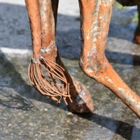 Close up of giraffe hocks and bushy tail