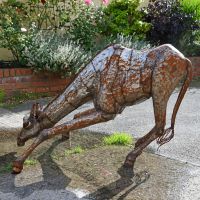 Side view of giraffe drinking 