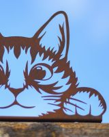 Close up of cat face detail on fence topper Close up of cat face detail on fence topper