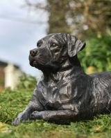 Close up of face detail on dog garden sculpture
