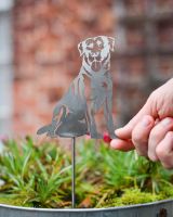 Labrador Artistic Plant Pot Spike - Set of Two with hand in shot for scale