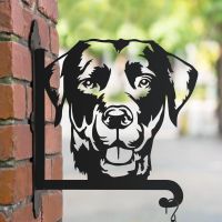 Labrador hanging basket bracket in the park