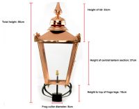 Victorian Lantern & Custom Frog Collar 