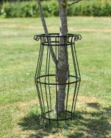 Large Black "Augustus" Steel Tree Guard - 105cm in Situ Large Black "Augustus" Steel Tree Guard - 105cm in Situ