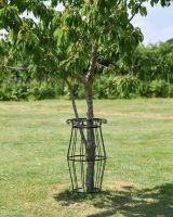 105cm Large Black "Augustus" Steel Tree Guard 105cm Large Black "Augustus" Steel Tree Guard
