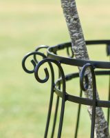 Large Black "Augustus" Steel Tree Guard - 105cm Large Black "Augustus" Steel Tree Guard - 105cm