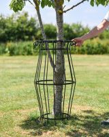 Scale Shot of Large Black "Augustus" Steel Tree Guard - 105cm Scale Shot of Large Black "Augustus" Steel Tree Guard - 105cm