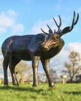"Magnus" Buck Garden Sculpture 