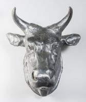 Large Wall Mounted “Pendleton Rodeo” Bull Bust