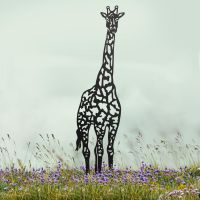 Black Giraffe Silhouette in Situ