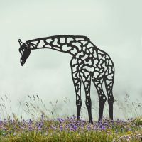 Black Drinking Giraffe Silhouette in Situ