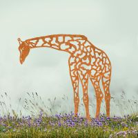 Rustic Drinking Giraffe Silhouette in Situ
