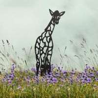 Black Baby Giraffe Silhouette in Situ