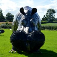 Large Hippo Sculpture