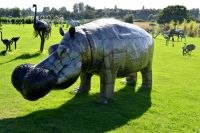 Large Hippo Sculpture