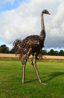 "Orinville" Large Ostrich Walking Sculpture "Orinville" Large Ostrich Walking Sculpture