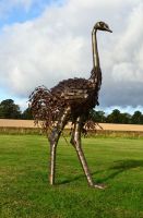 "Orinville" Large Ostrich Walking Sculpture