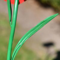 Close-up of the Green Metal Stem Spike