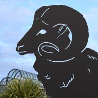 Close-up of the Head on the Ram Silhouette