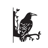 Close-Up of Large Rook on Branches Steel Hanging Basket Bracket