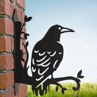 Large Rook on Branches Steel Hanging Basket Bracket in Situ