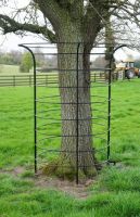 "Bewdley Birch" Large Tree Guard