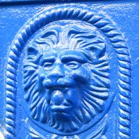 Close up of Lion"s head 