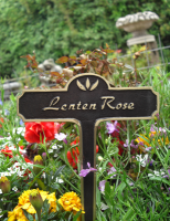 Lenten Rose Brass Garden Plant Sign Lenten Rose Brass Garden Plant Sign