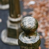 Close up of gold & black round top  Close up of gold & black round top