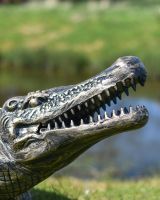 Close-Up of Crocodile Head Detail