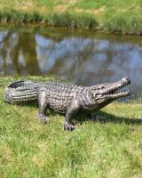 Situ Shot of Life-Size Cast Aluminium Crocodile Garden Sculpture