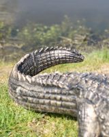 Close-Up of Tail on Life-Size Cast Aluminium Crocodile Garden Sculpture