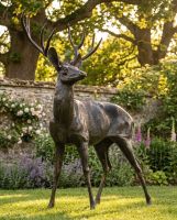 Life Size "Ryder" Deer Sculpture - Facing Left digital illustration low Life Size "Ryder" Deer Sculpture - Facing Left digital illustration low