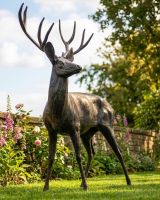 Life Size "Ryder" Deer Sculpture - Facing Left digital illustration Life Size "Ryder" Deer Sculpture - Facing Left digital illustration