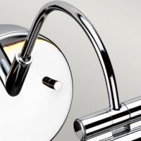 Swan Neck Picture Light 