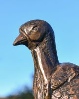 Close up of Bronze "Lurkey" Turkey Aluminium Sculpture tail
