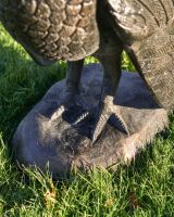 Close up of Bronze "Lurkey" Turkey Flower Planter feet