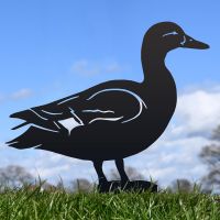Black Mallard Duck Silhouette in Situ