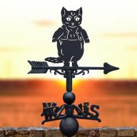 Black Master Tom Kitten Weathervane on sunset background  Black Master Tom Kitten Weathervane on sunset background