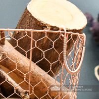 Close-up of the Wire Log Basket in Situ with Logs