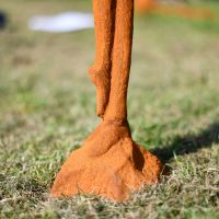 Close-up of the Rustic Base of the Statue