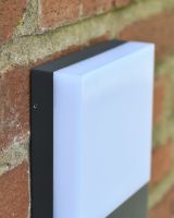 Angled close up of garden wall light