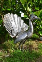 “Pavo Cristatus” Indian Peafowl Sculptures “Pavo Cristatus” Indian Peafowl Sculptures