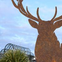 Close up of Rustic Stag Silhouette Close up of Rustic Stag Silhouette