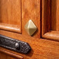 The Apex Door Stud Nailed into a Traditional Wooden Door - Digital Illustration