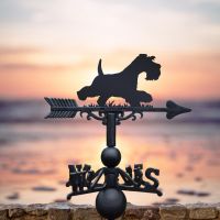 Minitiature schnauzer running weathervane on the beach