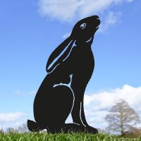Moon Gazing Hare Sheet Steel Silhouette in Black Finish