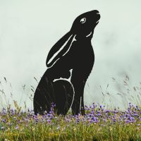 Black Sheet Steel Silhouette with Moon Gazing Hare Design in Situ