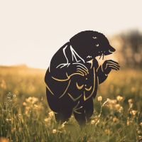 Mr Badger Silhouette in Situ in a Field
