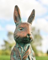 Close up of the Detail on Mr Rabbit"s Face